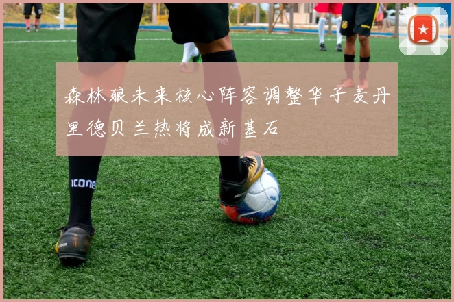 森林狼未来核心阵容调整华子麦丹里德贝兰热将成新基石